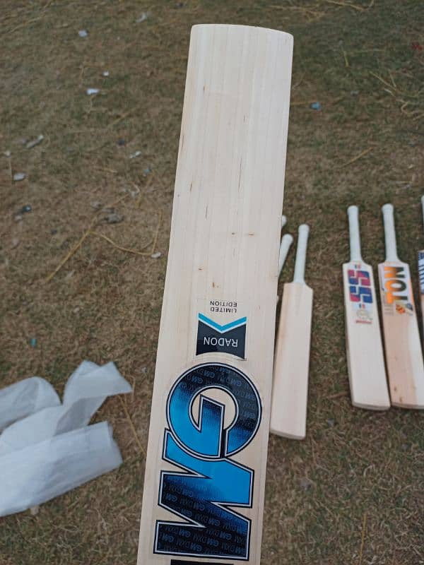 Cricket Bat 5