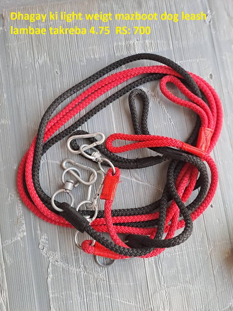 Leather harness leash dogs cats 4