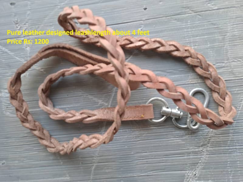 Leather harness leash dogs cats 8