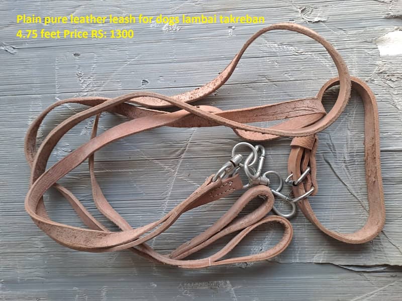 Leather harness leash dogs cats 9