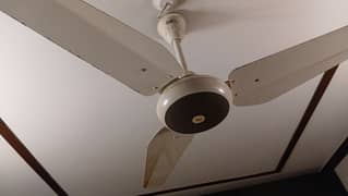 SK ceiling fan 56 inches capacitor fan