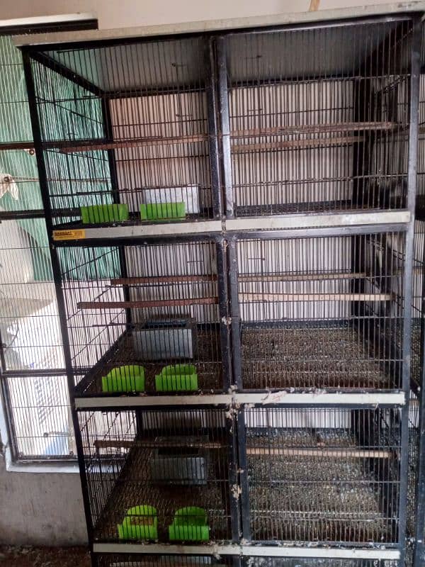 Birds cage 0