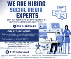 Our company is seeking social media experts and developers