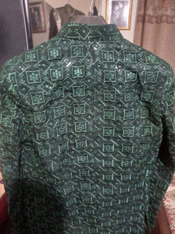 Prince Coat shinning green colour 1