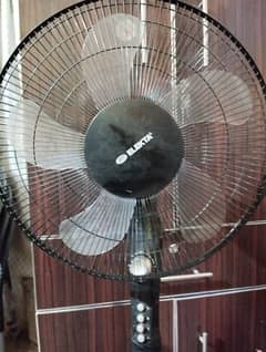 FAN