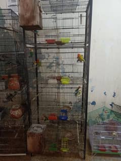 cage for birds