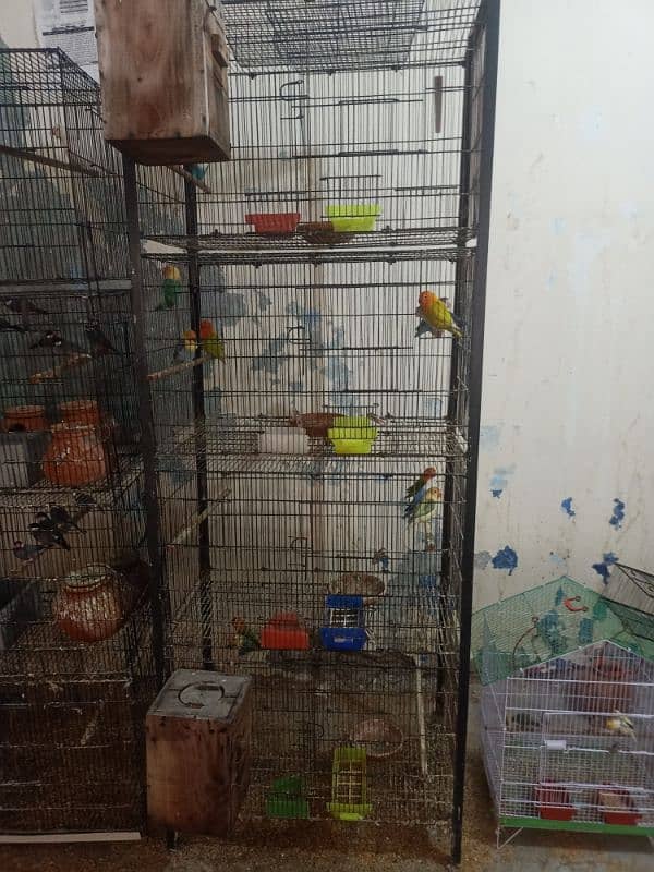 cage for birds 0