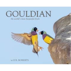 Gouldian