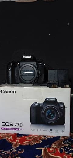 Canan 77D dSLR