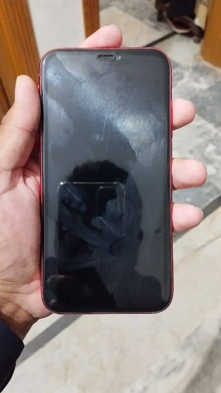 iphone 11 lush condition 1