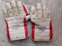 wicket keeping gloves and pads