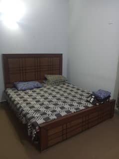 Furnish room available in g10 pha for Lady