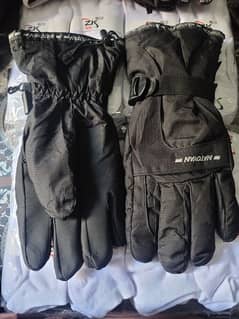 imported gloves