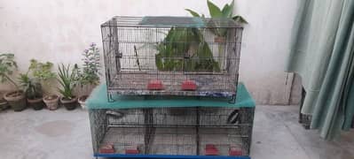 cages 2 cages price 7500