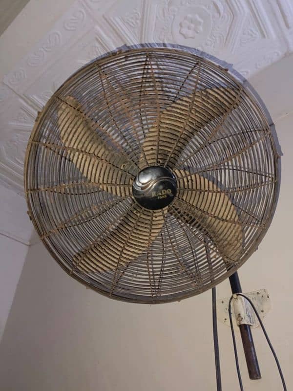 Rado bracket fan 24inch pure copper 0