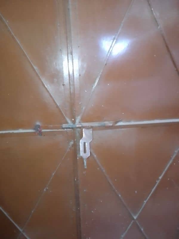 Metal Door 2 Pallay wala 3