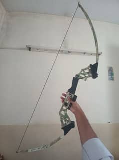 Z251 Archery 10/9.5 Condition