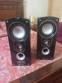 New Condition Audionic Speakers