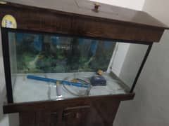 Fish Aquarium for sale