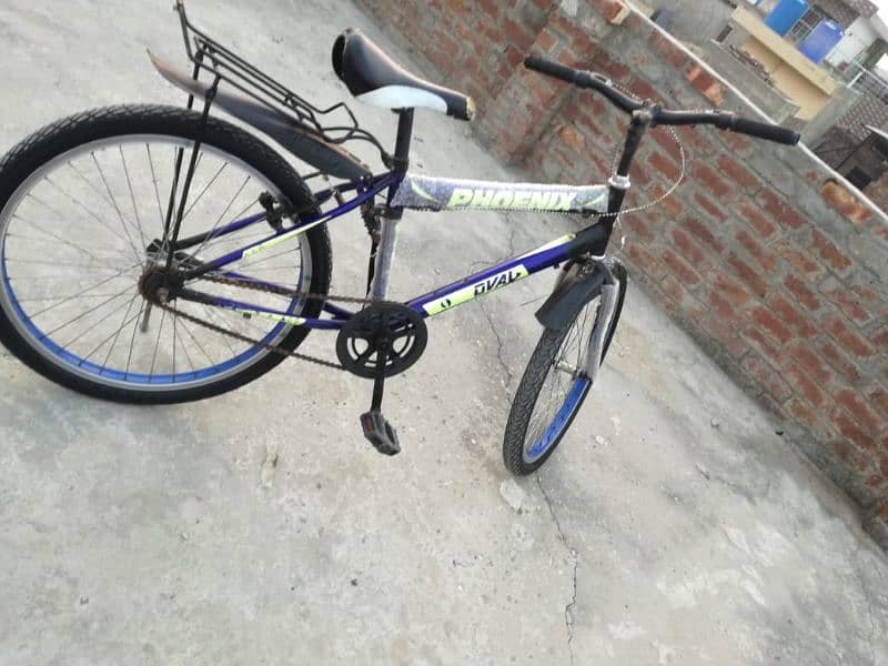 size 24 new bicycle 5