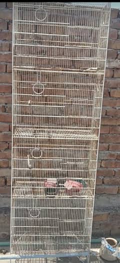 lovebird birds parrotused cages available. pinjra