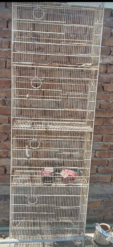 lovebird birds parrotused cages available. pinjra 0