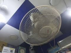 Royal ka ceiling fan han saf suthra hai 0336-2/2/5/4/5/2)4