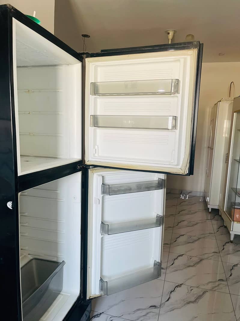 Pell jambo size fridge Glass door 1