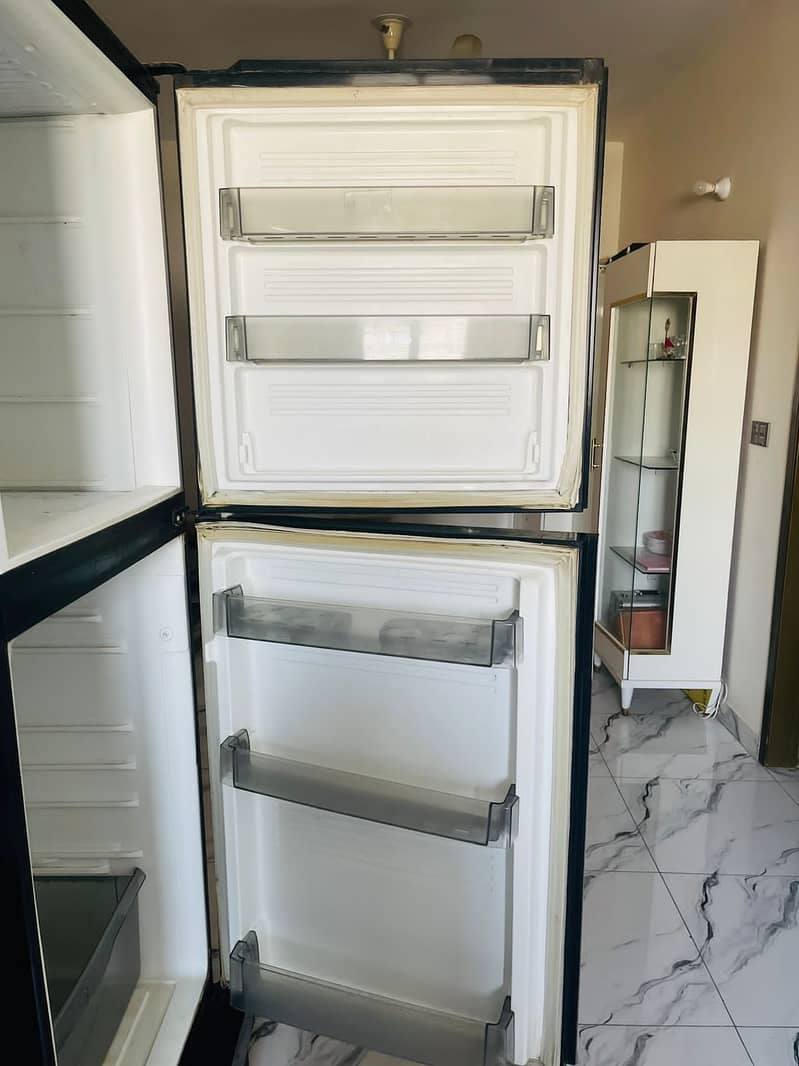 Pell jambo size fridge Glass door 8