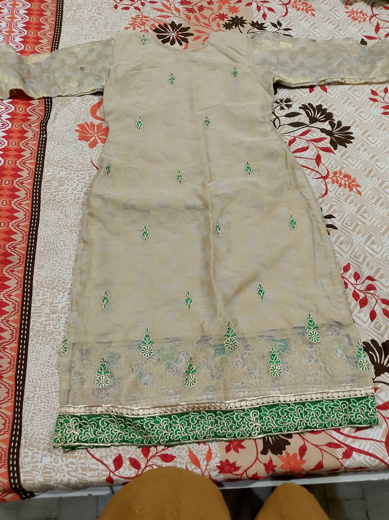 Frog and dupatta 6