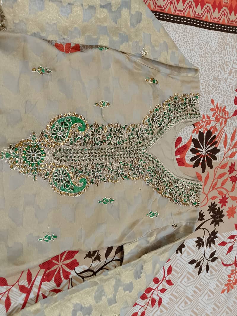 Frog and dupatta 8