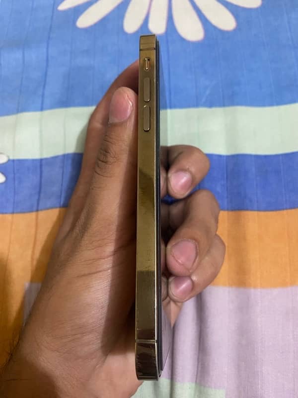 Iphone x into 12 Pro pta approved 2