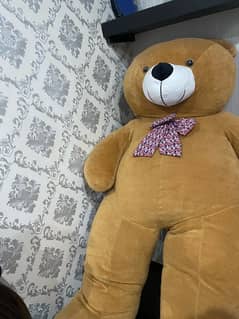 teddy bear for sale