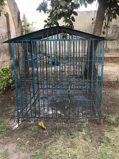 Cage for sale