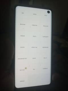 Samsung Galaxy S10 Dual Sim