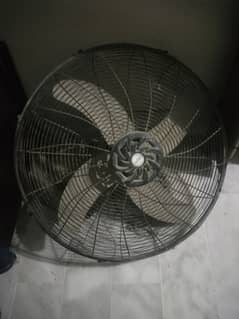 Bracket Fan