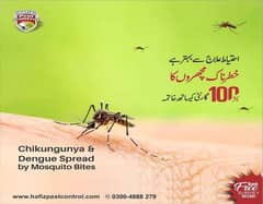 Mosquito killer Spray Dengue Spray in Rawalpindi, Islamabad, Pakistan