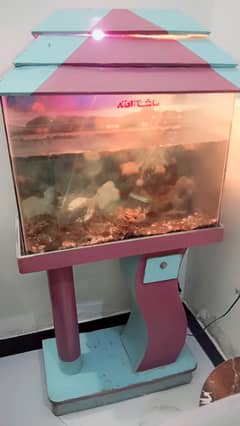 Fish aquarium