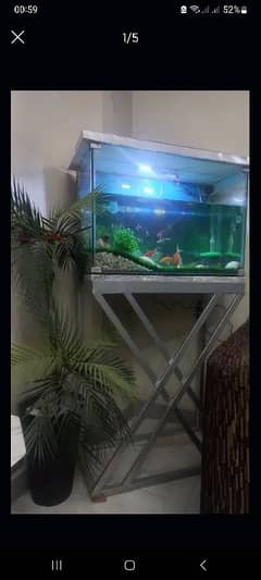 aquarium for sale