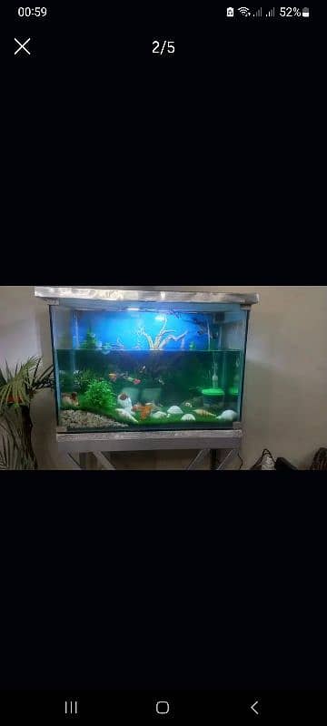 aquarium for sale 1