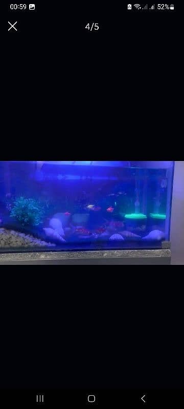 aquarium for sale 3