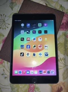 ipad mini 5