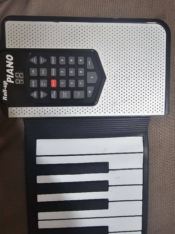 Portable Piano 1