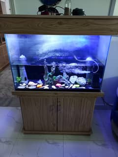 Aquarium for sale condition 10/10