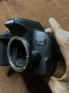 CANON -800D American