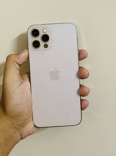 iphone 12 pro pta approved