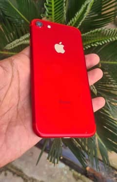 iPhone 7 malakwal