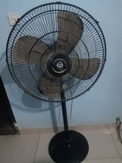 Best fan for homes and shop