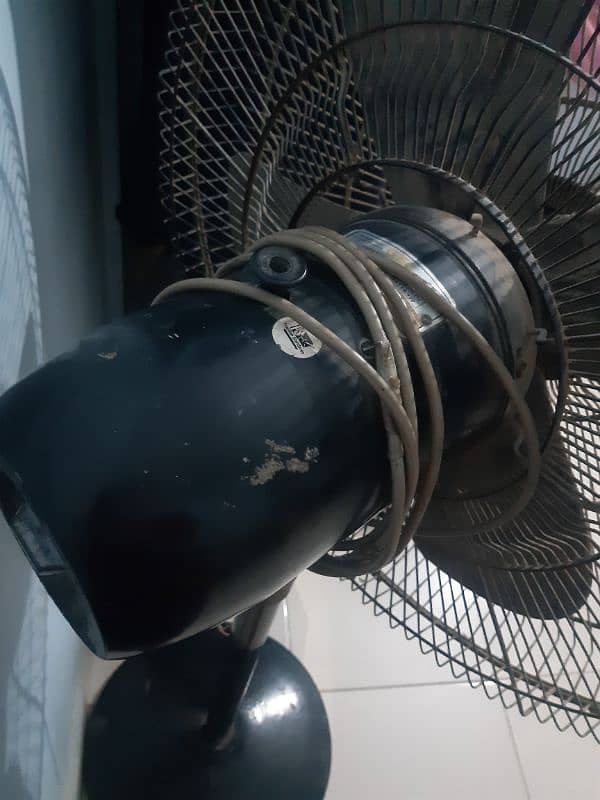 Best fan for homes and shop 2