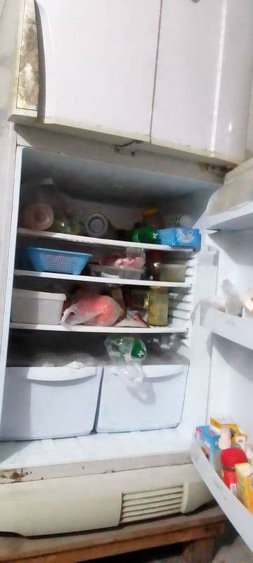 PEL Fridge 2